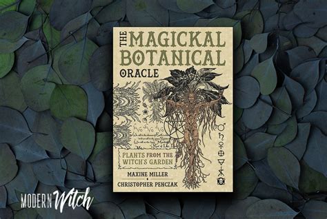 A Comprehensive Guide to the Botanical Witch Oracle PDF: Interpretation and Meaning